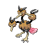 torracat